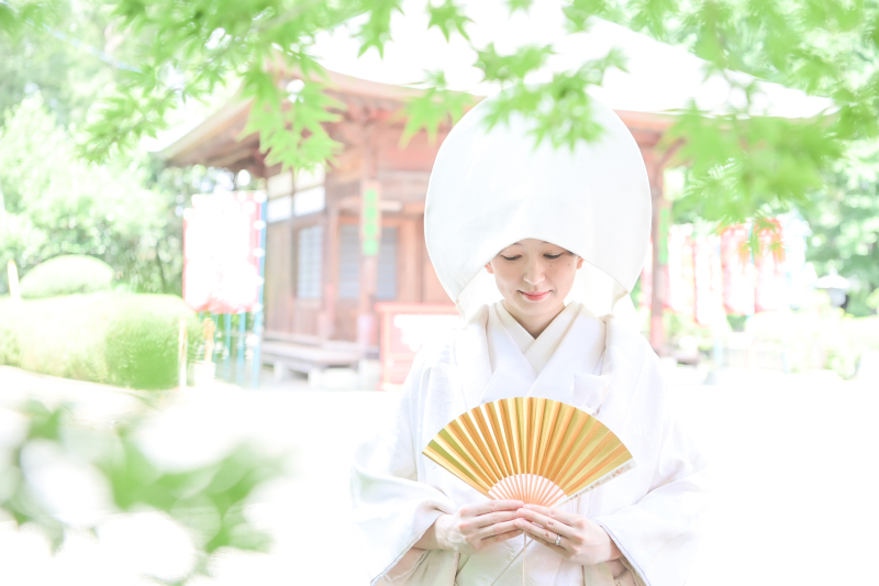 とってもお得な期間限定新プランが3つも登場♪