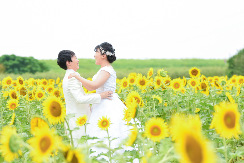 2022　ひまわりフォトプランご予約受付中