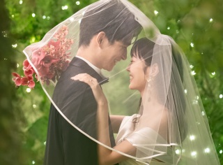 《8月までの期間限定》サマーナイトフォトプランが登場!