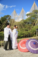 兼六園は冬支度、雪吊りがお目見え！紅葉と雪吊りの兼六園での撮影は素敵ですよ。