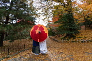 兼六園の紅葉。色づきはじめました。例年よりやはり1週間程度遅れています。
