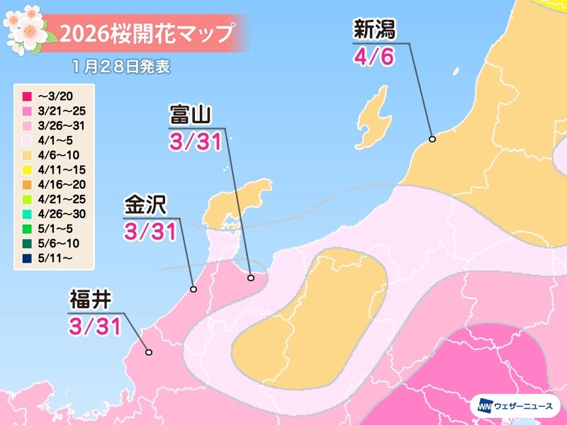 ウエザーニュース社より桜開花予想の最新予想が発表されました。
