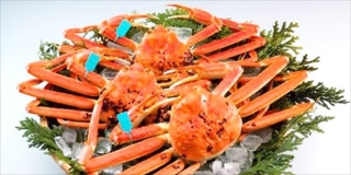 冬の味覚カニの解禁!金沢への旅行が」一層楽しみに。写真婚・前撮りは金沢旅行で!