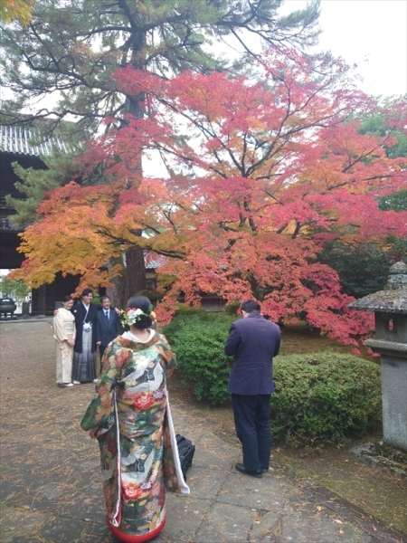 金沢の紅葉も色付いてきました。アート工房イチオシの天徳院もグラデーションが鮮やか