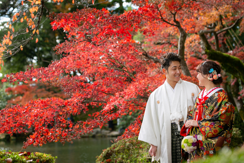 紅葉撮影 只今予約受付中! 8月中のご予約で早期予約特典あり!