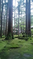 和装ロケーション撮影の下見　苔寺