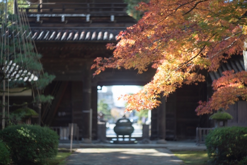 金沢の紅葉も色付いてきました。アート工房イチオシの天徳院もグラデーションが鮮やか