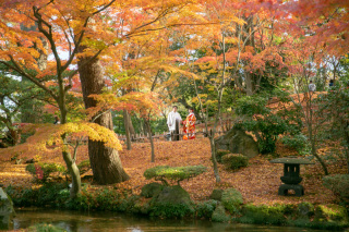金沢の紅葉撮影は、例年11月10日頃から11月25日頃がお薦めです。
