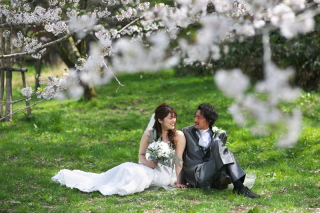 金沢での洋装桜ロケーション1押しスポットのご紹介!「400年の森」