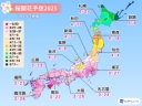 2025年桜開花予想の第1回予想がウエザーニュースより発表あり！金沢4/2開花！