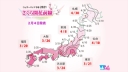 桜開花予想発表される！金沢は開花3月31日・満開4月6日予想！
