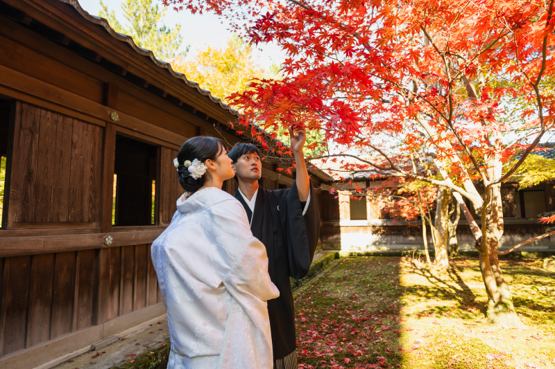金沢の隠れた紅葉の名所「天徳院」のご紹介!