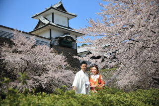 桜開花早まる!金沢でも3月末から撮影可能!3月29日~4月1日まだ空きあります!