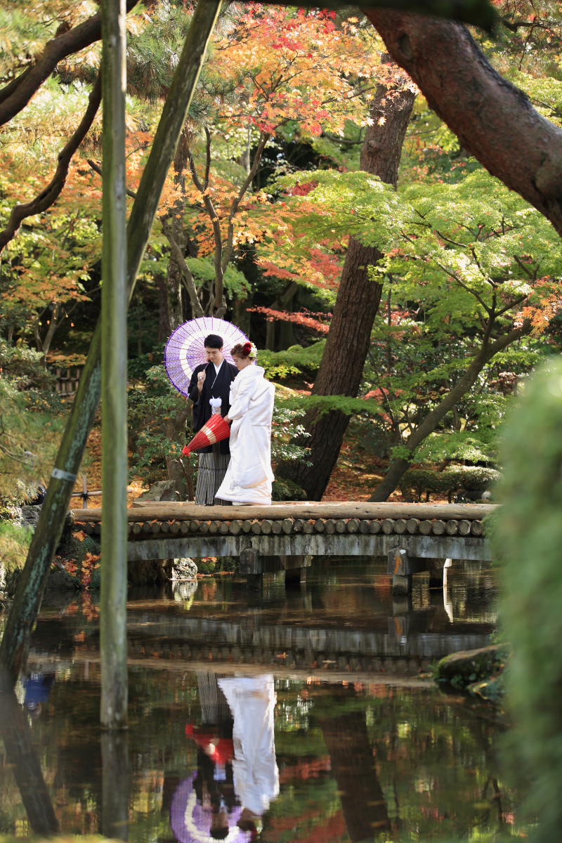 お得な早割60がスタートしました。紅葉撮影をご検討の方、今の時期なら早割特典有!