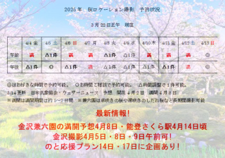 最新情報!金沢兼六園の桜満開は4月8日頃!能登さくら駅4月14日頃!まだ予約可