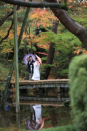 金沢　紅葉してきました。今月28日頃までが最も綺麗です！！