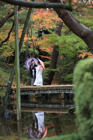 金沢　紅葉してきました。今月28日頃までが最も綺麗です！！