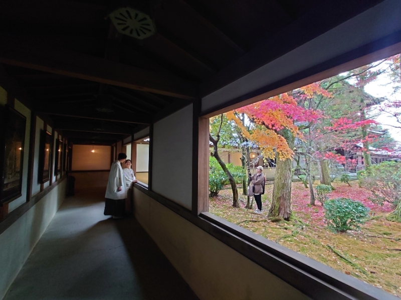金沢の隠れた紅葉の名所「天徳院」での撮影はどうですか？室内撮影も出来てお得！