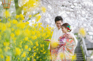 最新開花予想金沢3/31。満開４/5！まだ4月5日予約可能！6日～10日も若干可