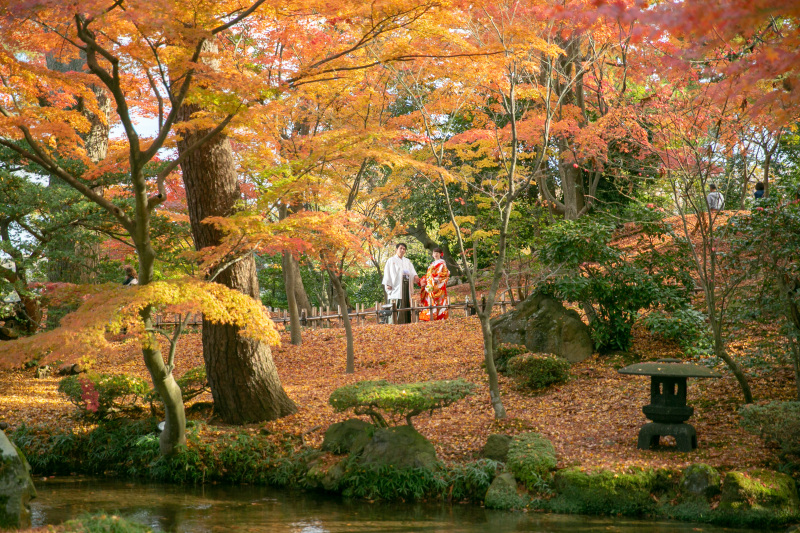 お得な早割60がスタートしました。紅葉撮影をご検討の方、今の時期なら早割特典有!