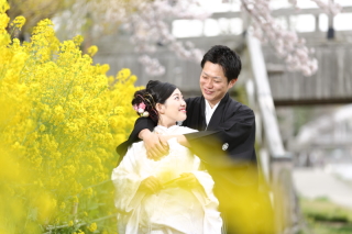 意外に知らない金沢の桜の名所！ひがし茶屋街散策プランなら楽しめる浅野川桜並木！