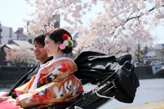 桜の時期に一番お薦めのアート工房の「金澤散策プラン」桜の名所から人力車で散策迄！