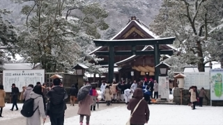 2020年!スタートダッシュ 新年お年玉企画を行います。お楽しみに!