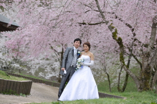 洋装桜ロケーション撮影イチオシポイントのご紹介！