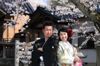 桜満開の金沢ロケ４月2日（月）~６日（金）まだ希望時間で予約可能！早いもの勝ち！