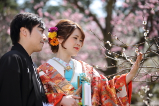 兼六園の梅林が咲き始めました。梅林での撮影は3月初めがお薦め