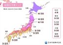 2024年桜開花予想が発表されました。日本気象㈱の予想では金沢３/29開花予想！