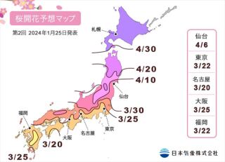 2024年桜開花予想が発表されました。日本気象㈱の予想では金沢3/29開花予想!