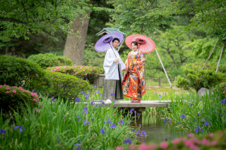 5月~6月の兼六園は数多くの花が咲き、緑鮮やかなロケーション撮影にはお勧めの時期