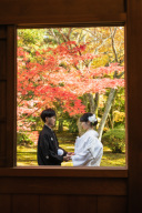 本日当社専属契約の新撮影スポット！天徳院での撮影を行って来ました。今から予約も可