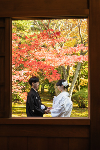 本日当社専属契約の新撮影スポット!天徳院での撮影を行って来ました。今から予約も可