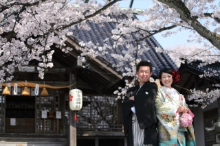 桜ロケーション撮影最終予約！締め切り２３日。全額カード払い可！5％還元認定店！