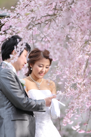 ウエディングドレスでの桜ウェディング撮影にお薦めの場所!金沢四百年の森!