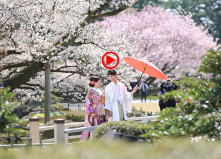 金沢の桜フォトと新緑フォトのお奨めカットをスライドショーでご紹介します！