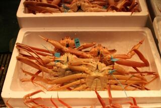 今秋は金沢に注目。いしかわ百万石文化祭も10/14~11/26開催されます。