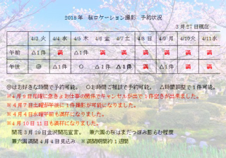 金沢本日開花！　満開は４月４日頃　まだ間に合う見頃は４月２日～４月１１日頃！