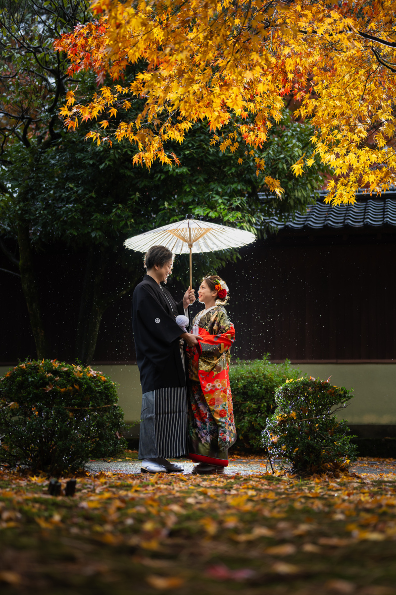 紅葉撮影 只今予約受付中! 8月中のご予約で早期予約特典あり!