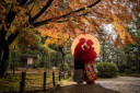 秋の紅葉シーズンのお問合せピーク！金沢兼六園の紅葉は11月10日頃～11月末まで