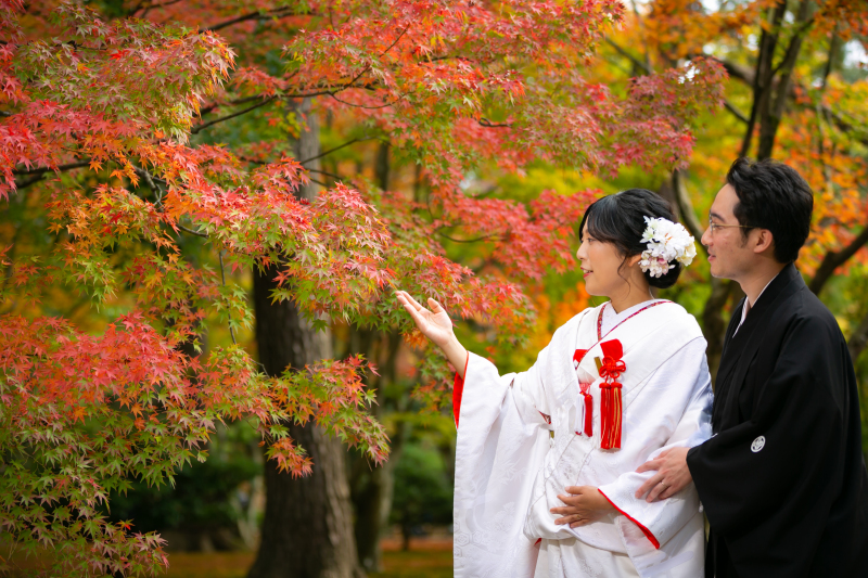 お得な早割60がスタートしました。紅葉撮影をご検討の方、今の時期なら早割特典有!