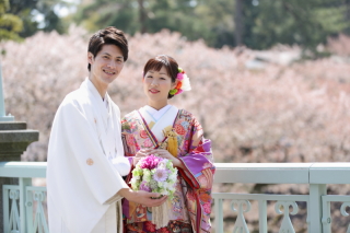 桜ロケーション撮影最終予約！明日締め切り！全額カード払い可！5％還元認定店！