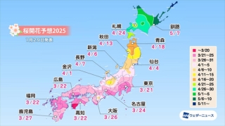 天気予報3社の桜開花予想が出そろいました。金沢の予想開花3月27日～4月2日！