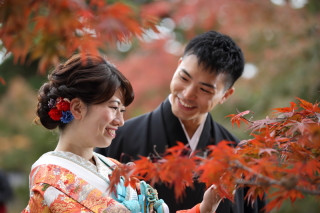 今の兼六園（11/14画像）紅葉平年より一週間遅れ。23日（土）以降もお薦め！