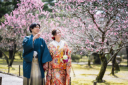 兼六園の梅林は3月10日頃から3月末まで見頃!この時期の前撮りにはイチオシ!
