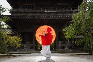 新スポット。天徳院のご紹介Ⅱ