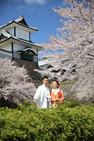 桜の名所、兼六園（金沢）の桜の見ごろは4月初め～10日過ぎ！今がご検討の時期です