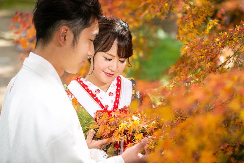 紅葉撮影 只今予約受付中! 8月中のご予約で早期予約特典あり!